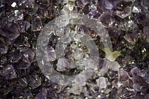 Amethyst Cluster Rough Crystals