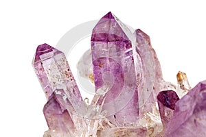 Amethyst Crystal Druse macro mineral on white background