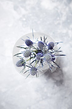 Amethyst Sea Holly Flowers in a Vase