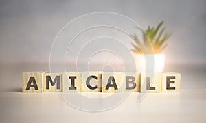 Amicable - word on wooden cubes, concept family