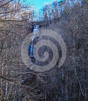 Amicalola Falls in Winter Trees photo