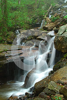 Amicalola water fall