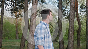 Amidst the beauty of the pine forest, a young man takes a leisurely walk.