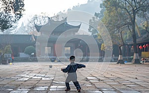 Amidst a hazy temple square at dawn, a child in a blue martial arts uniform embarks on his morning practice, a symbol of