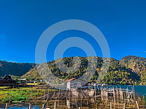 Amidst rolling hills, a serene lake reflects the clear blue sky, while a charming house nestles at the base of the hills.