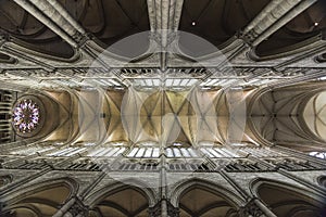 Amience Cathedral Cieling photo
