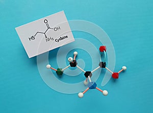 Amino acid cysteine, molecular structure model and structural chemical formula.