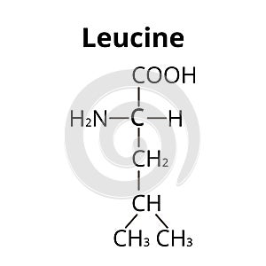 Amino acid Leucine. Chemical molecular formula of amino acid leucine. Vector illustration on isolated background photo