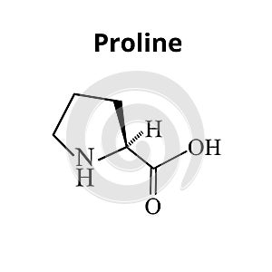 Amino acid Proline. Chemical molecular formula proline amino acid. Vector illustration on isolated background