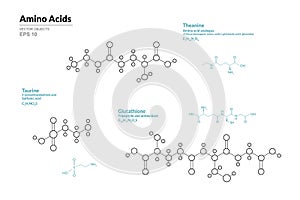 Amino Acid. Theanine, Taurine, Glutathione. Structural Chemical Formula and Line Model of Molecule