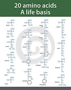 Amino acids