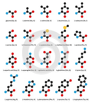 Amino acids, chemical structures: glycine, alanine, valine, leucine, isoleucine, serine, threonine, cysteine, methionine, proline