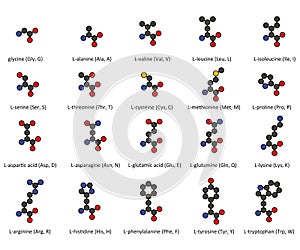 Ácidos.  bidimensional químico estructuras de 20 