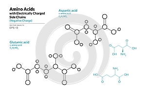 Amino Acids with Electrically Charged Side Chains. Aspartic and Glutamic Acids. Structural Chemical Formula and Line Model photo