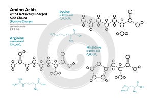 Amino Acids with Electrically Charged Side Chains. Lysine, Histidine, Arginine. Structural Chemical Formula and Line Model