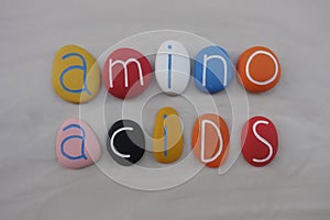 Amino acids word composed with colored stones over white sand