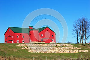 Amish Barn 2