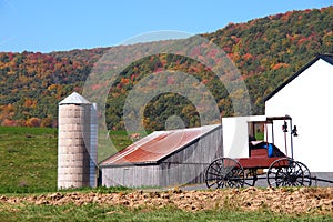 Amish Barn with a Buggie