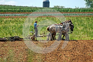 Amish Boy Plowing the Field with 5 Horses Pulling Plow to Turn Over Fields to get Ready for Planting