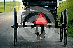 Amish Buggie