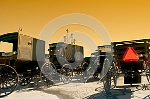 Amish buggies