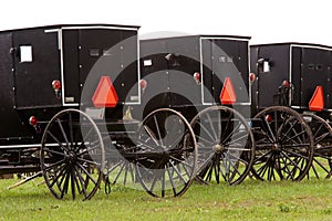 Amish buggies 5