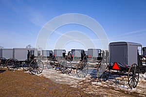 Amish Buggies and Carts