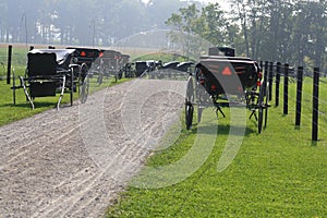 Amish Buggies at Church