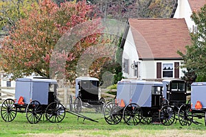 Amish buggies parked in the driveway