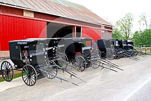Amish buggies
