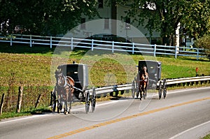 Amish Buggies Travel on Road