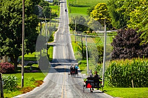 Amish Buggies Travel on Rural Lancaster County Road