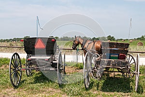 Amish buggies