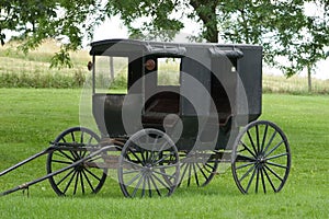 Amish Buggy photo