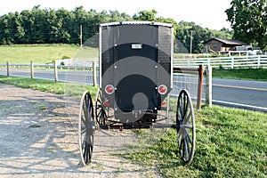 Amish Buggy