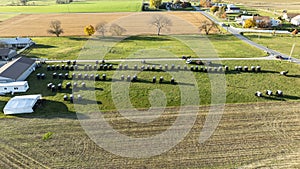 Amish Buggy Assembly in Autumn Fields, during an Amish wedding