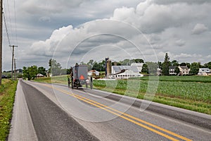 Amish Buggy on a Country Road