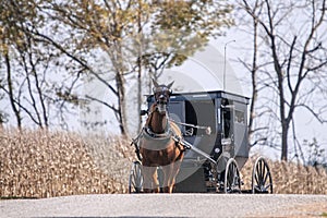 Amish buggy on a country road photo