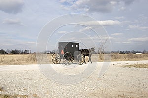 Amish buggy and countryside photo