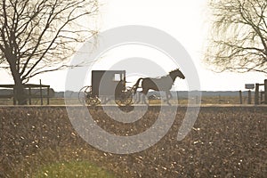 Amish buggy drawn by a trotting horse, Lancaster County, PA