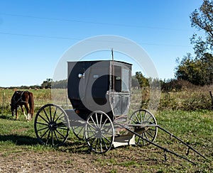 Amish buggy and horse parked at country store.
