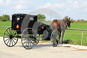 Amish Buggy at Rest