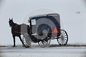 Amish Buggy Travels Through Snow