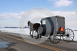 Amish Carriage