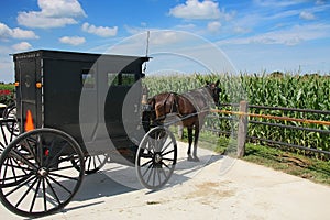 Amish carriage