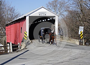 Amish Carriage