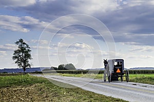 Amish Carriage