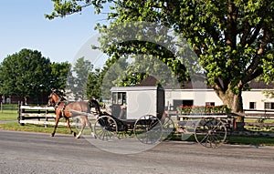 Amish Carriage and Flower Cart