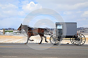 Amish Carriage in Winter