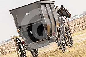 Amish,casket,buggy